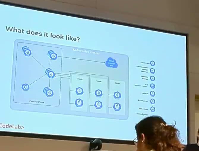 Workshop slide titled What does it look like, showing a Kubernetes cluster with a control plane and three worker nodes