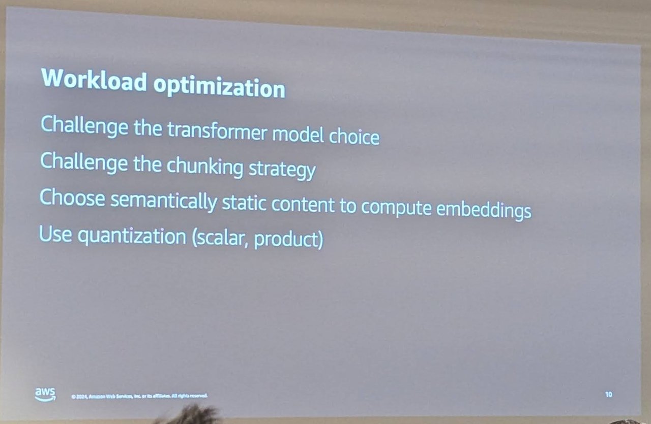 Workload optimization slide: challenge the transformer model choice, challenge the chunking strategy, choose semantically static content to compute embeddings, use quantization (scalar, product)