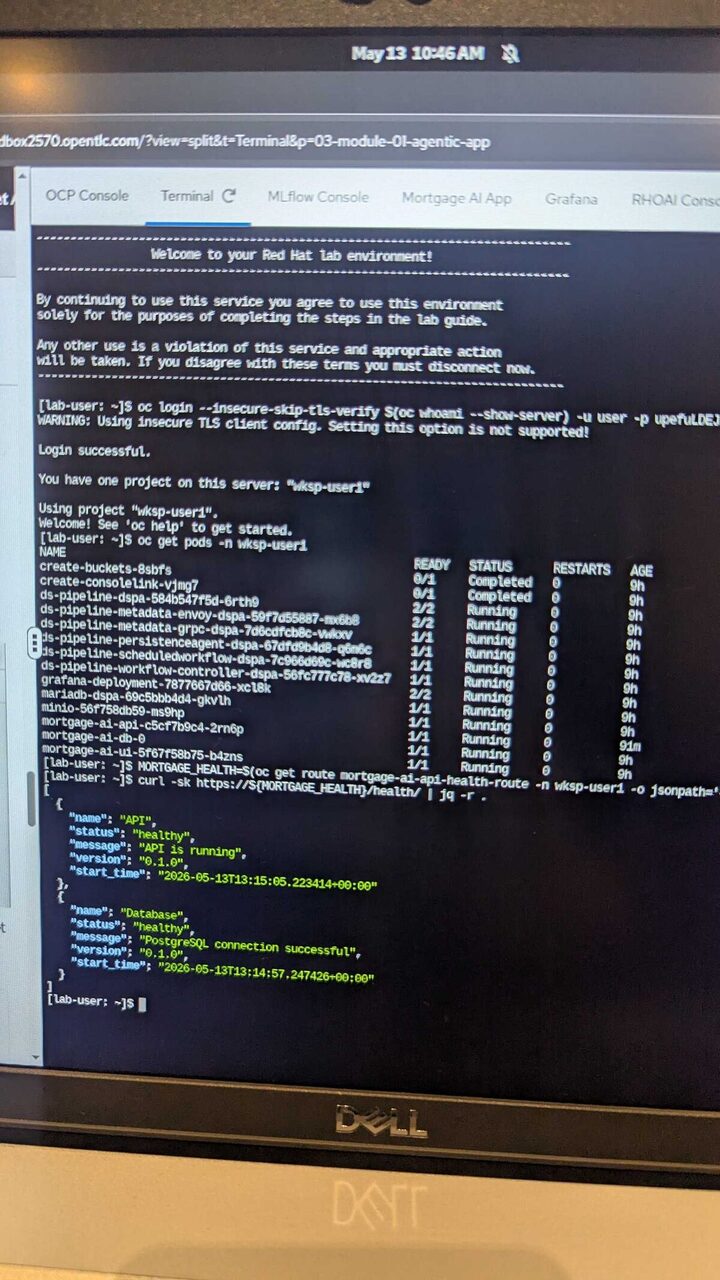 OpenShift terminal showing running pods — mortgage-ai-api, Grafana, MariaDB, MinIO, pipeline components