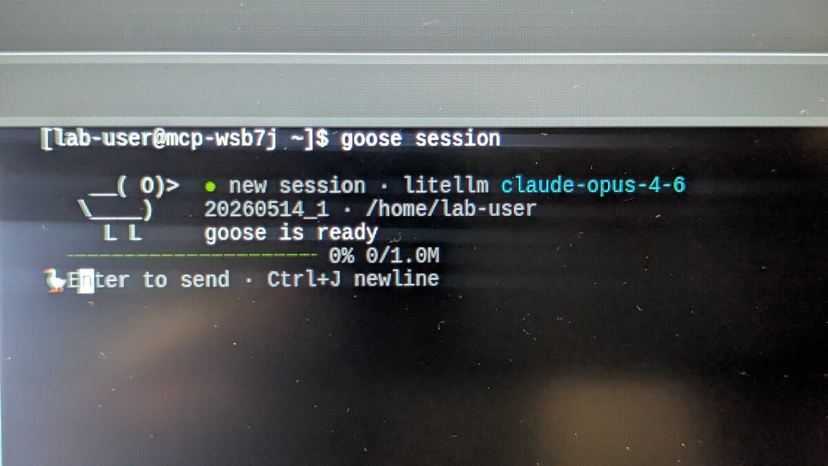 Goose CLI session startup — litellm claude-opus-4-6 model ready