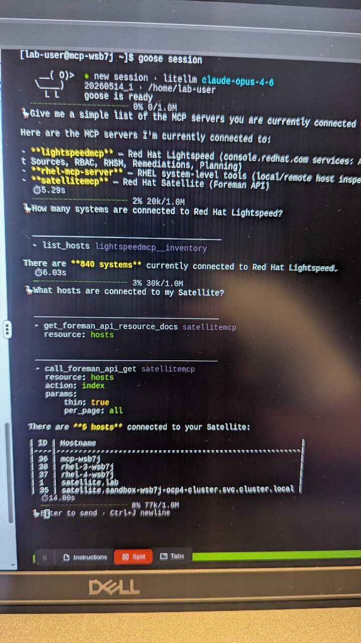 Goose terminal querying 840 Lightspeed systems and 5 Satellite hosts