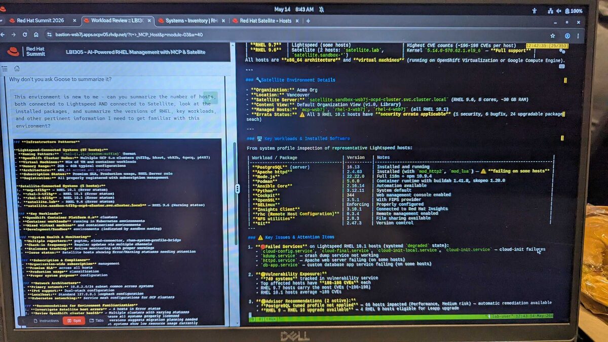 Goose workload review — complete Satellite and Lightspeed environment summary with CVE counts and key workloads