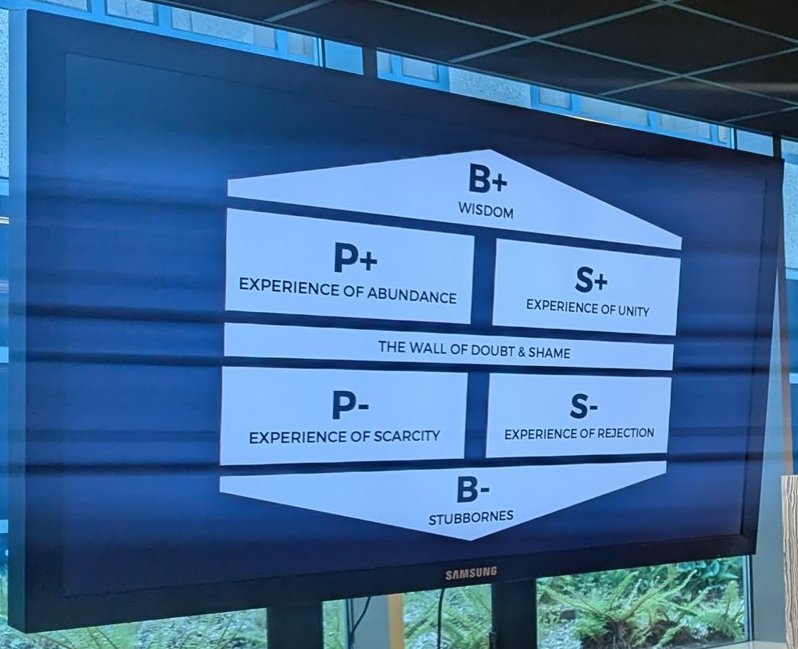 Positive and negative house: wisdom, experience of abundance, experience of unity, the wall of doubt and shame, experience of scarcity, experience of rejection, stubbornness