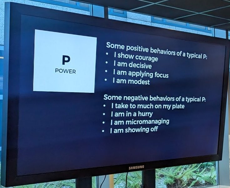 Power slide listing positive and negative behaviours of a typical P
