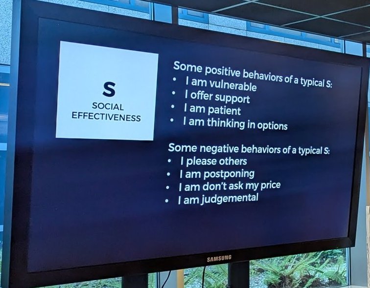 Social effectiveness slide listing positive and negative behaviours of a typical S