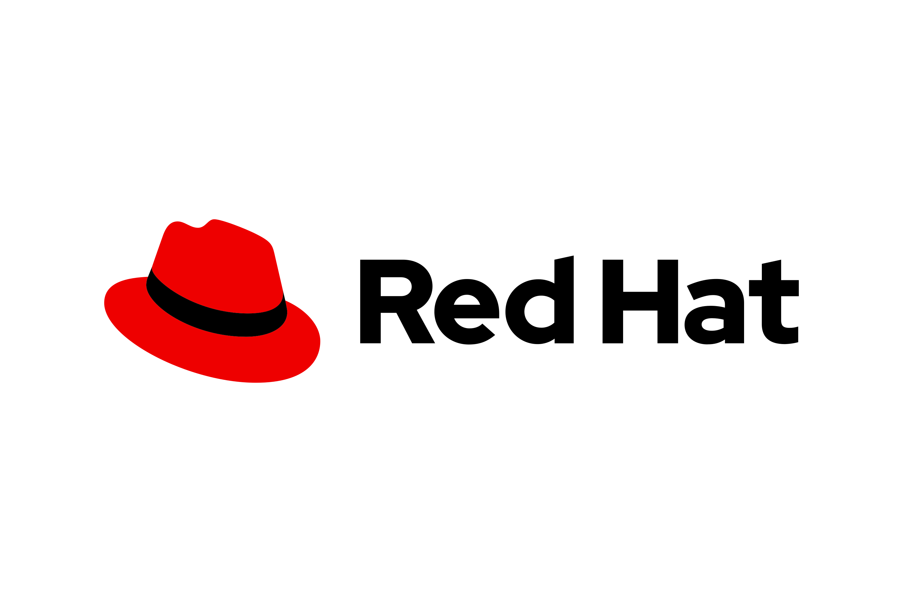 Red Hat logo